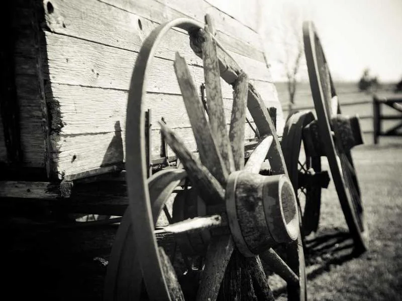 Image 0 de Recherche télévision