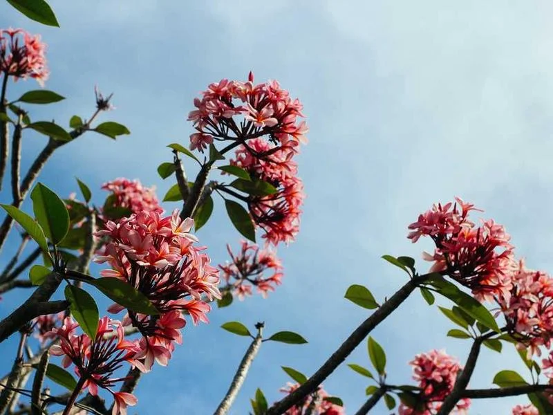 Image 0 de Recherche studio