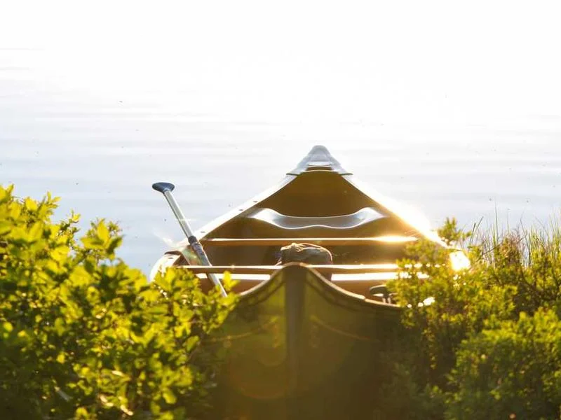 Image 0 de Kayak à vendre