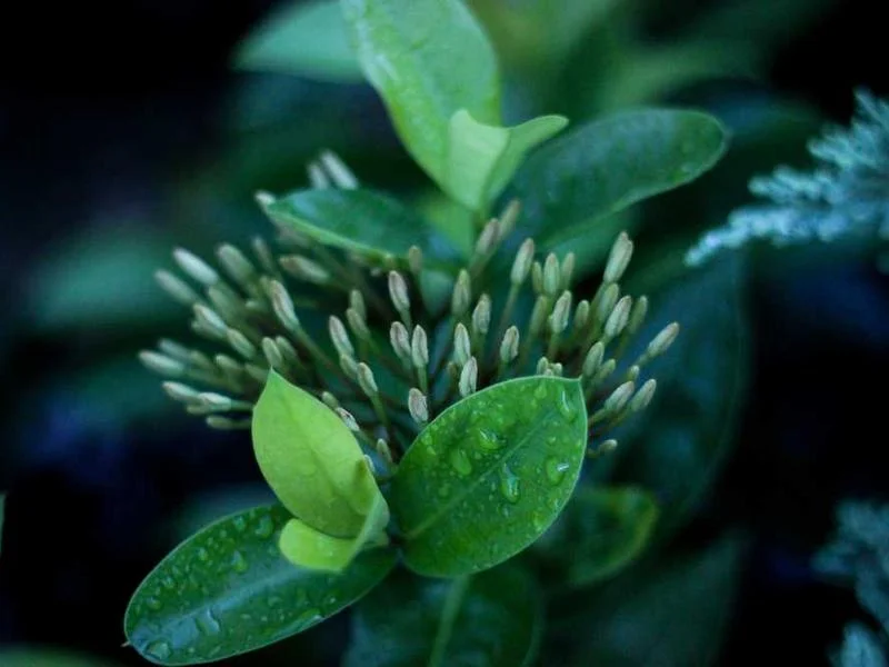 Image 0 de Recherche ordinateur portable