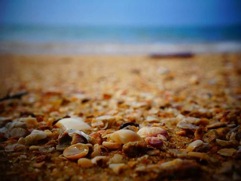 Image 0 de Lot divers à vendre