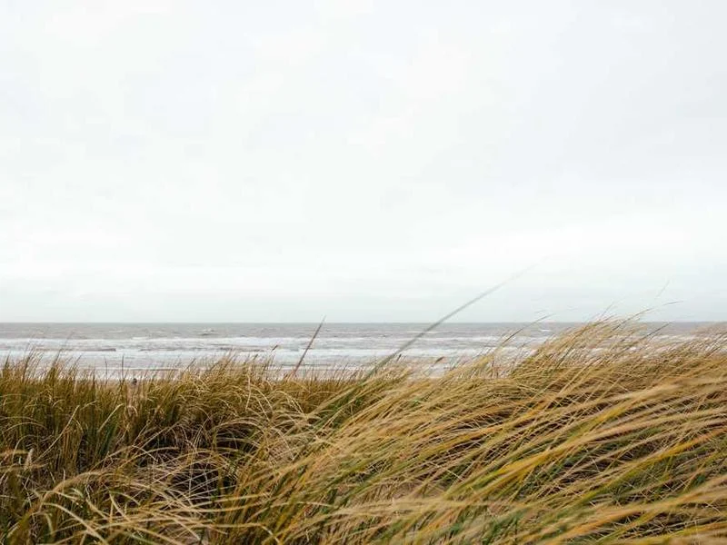 Image 0 de Objet divers à vendre