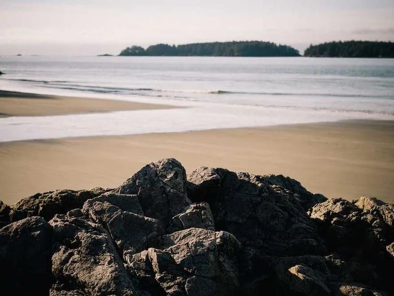 Image 0 de Planche de surf à vendre