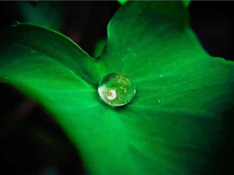 Image 0 de Objet divers à vendre