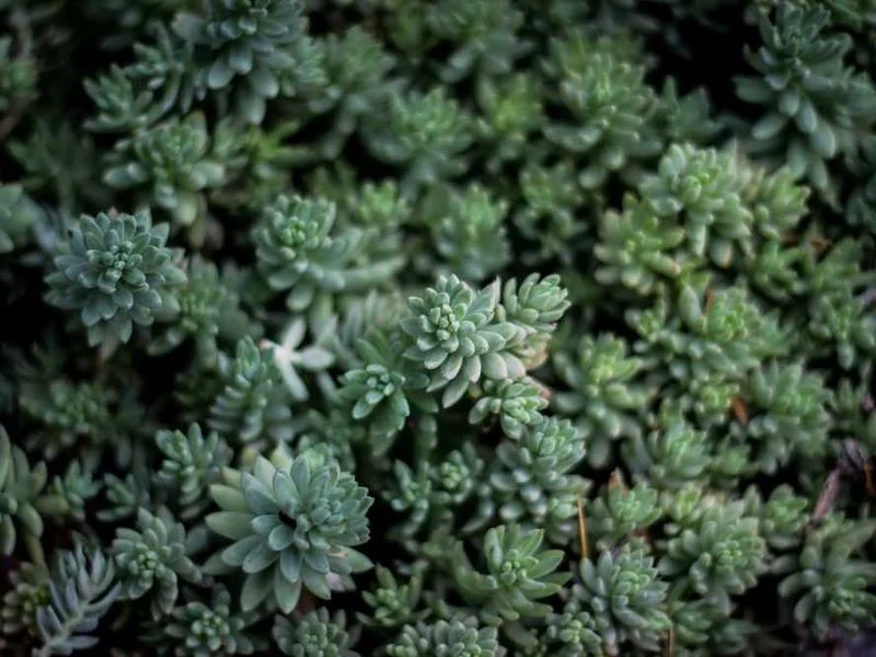 Image 0 de Lot divers à vendre