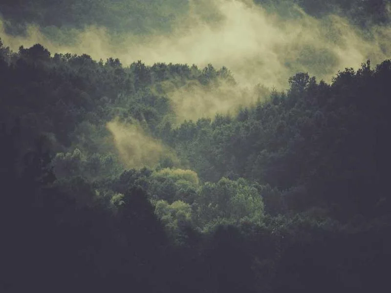 Image 0 de Table à vendre