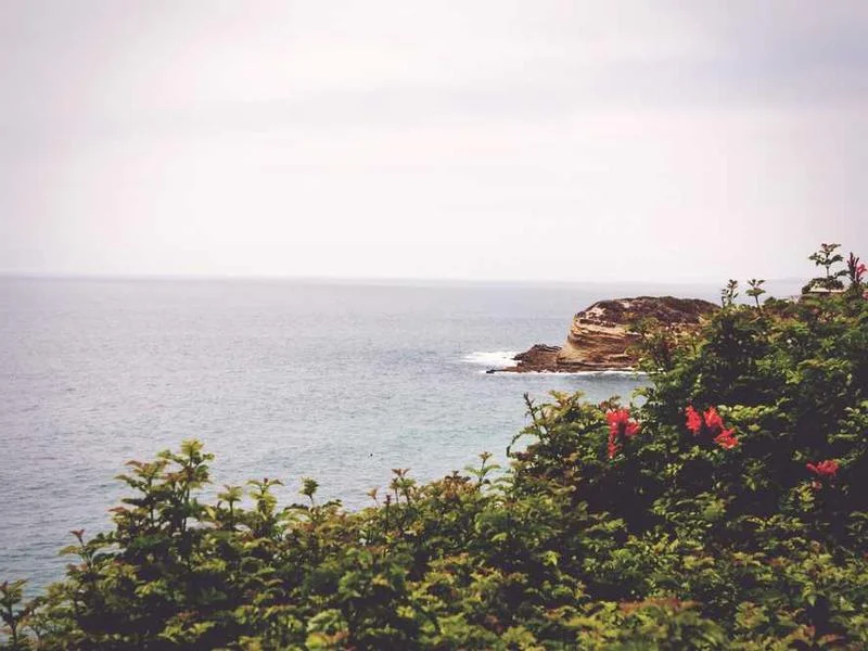 Image 0 de VTT à vendre