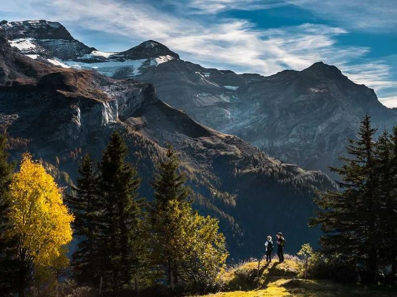 Image 0 de Armoire à vendre