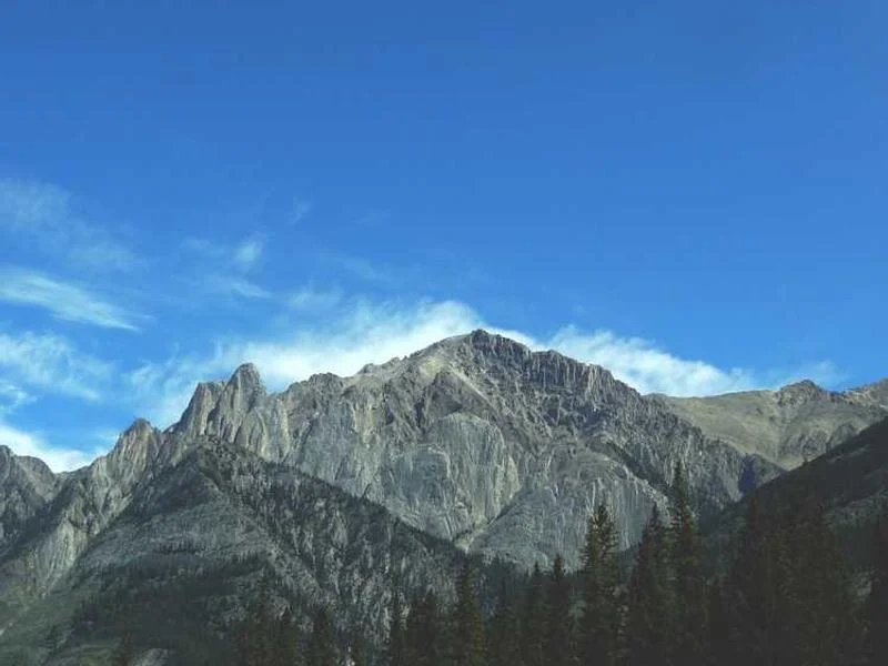 Image 0 de Kayak à vendre