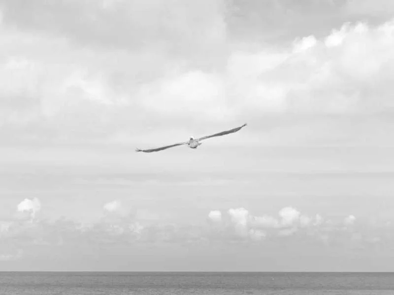 Image 0 de Recherche utilitaire