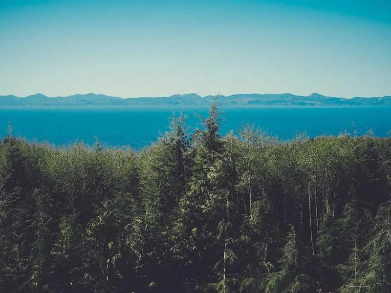 Image 0 de Kayak à vendre