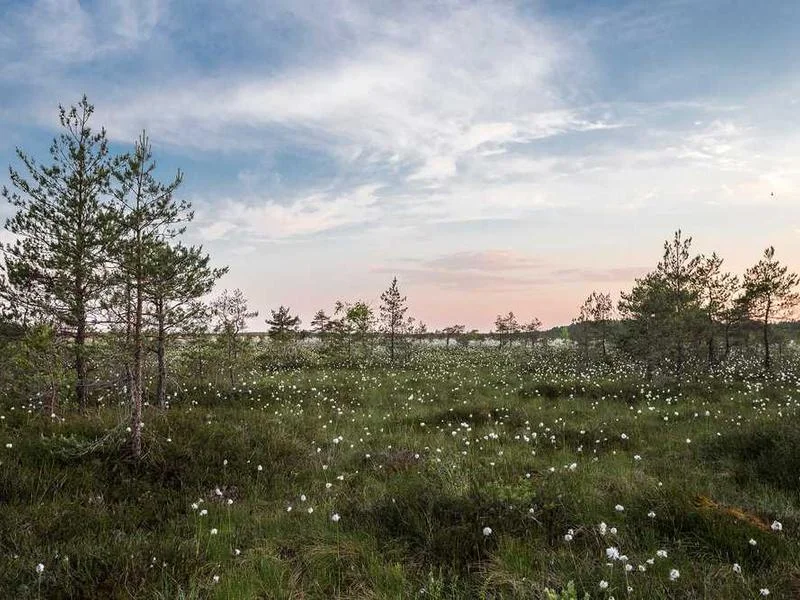 Image 0 de Objet divers à vendre