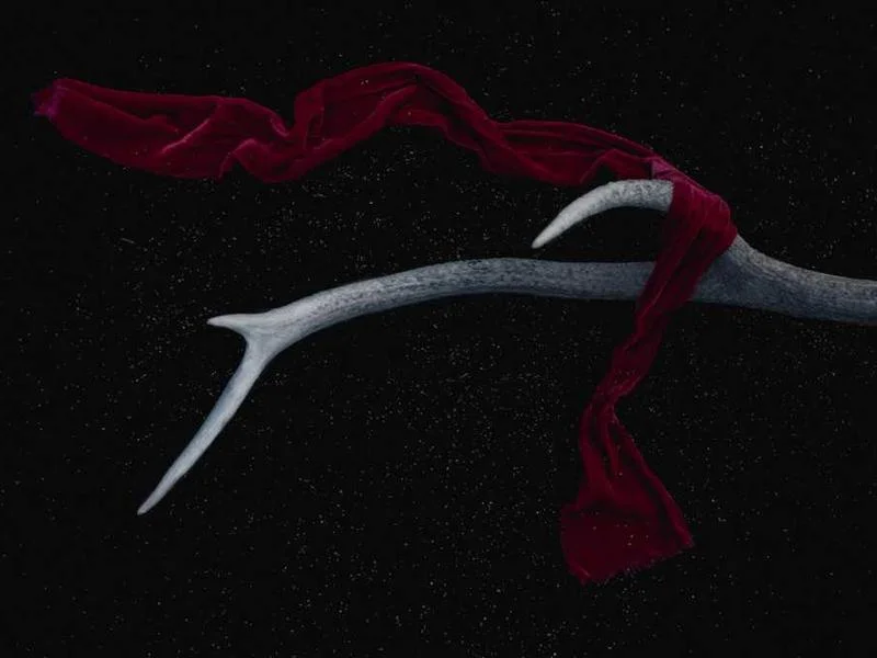 Image 0 de Recherche télévision