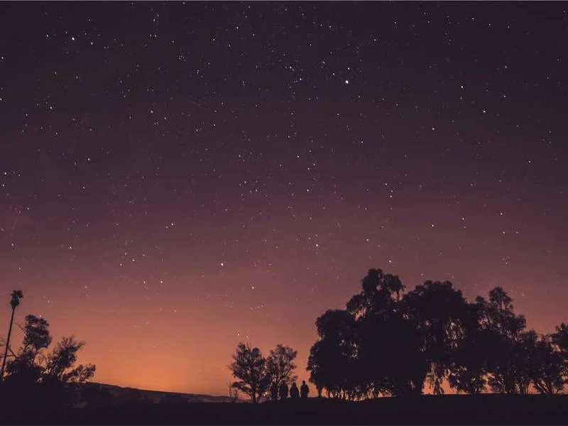 Image 0 de Scooter à vendre