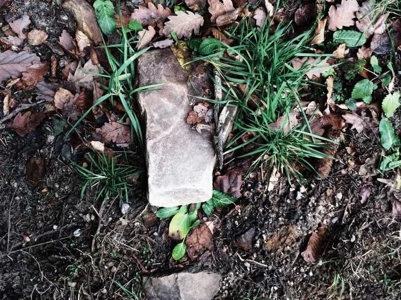 Image 0 de Vélo à vendre