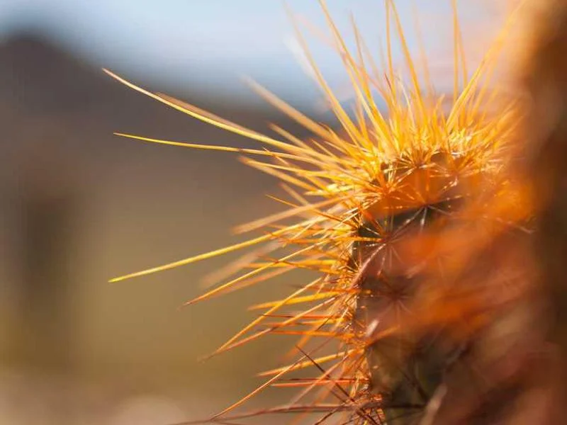 Image 0 de Lot divers à vendre