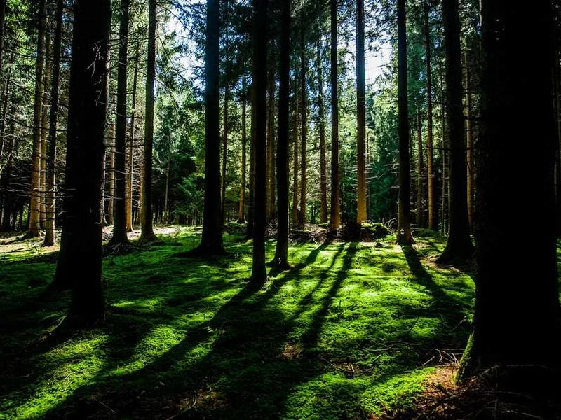 Image 0 de VTT à vendre