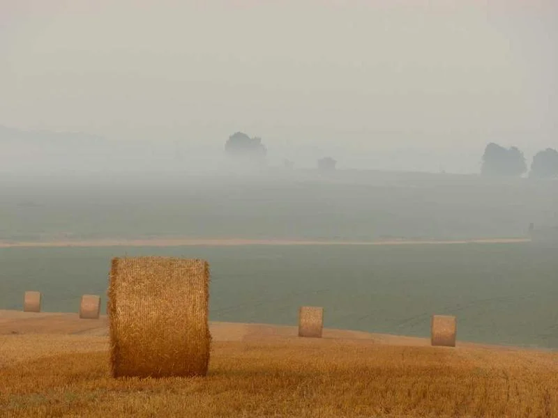 Image 0 de Kayak à vendre