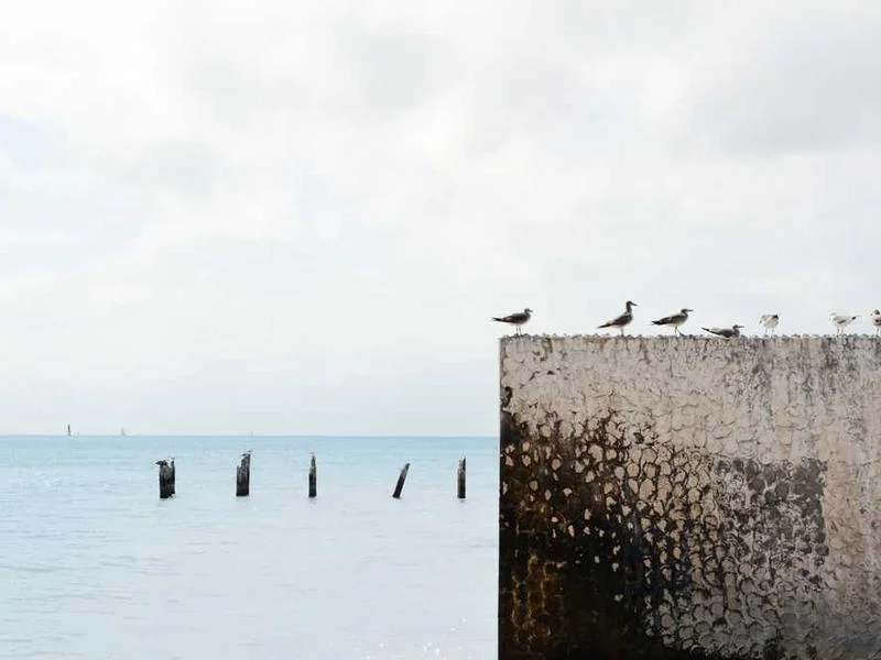 Image 0 de Lot divers à vendre