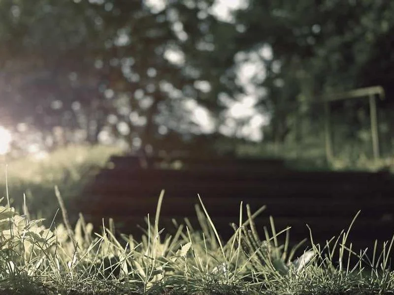 Image 0 de VTT à vendre