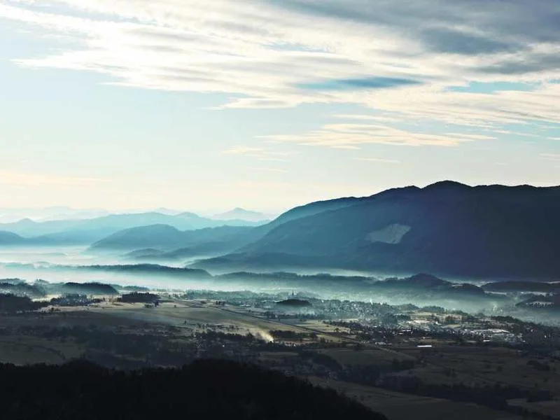 Image 0 de Téléphone à vendre