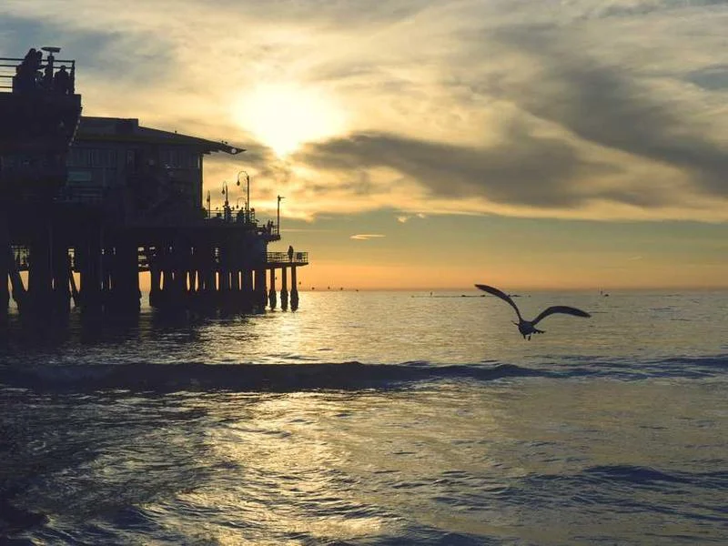 Image 0 de Télévision à vendre