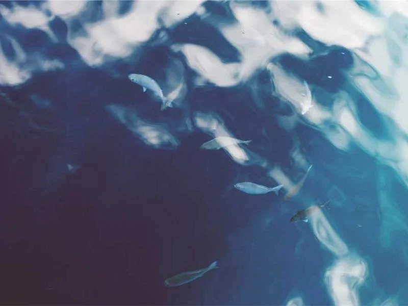 Image 0 de Recherche appartement