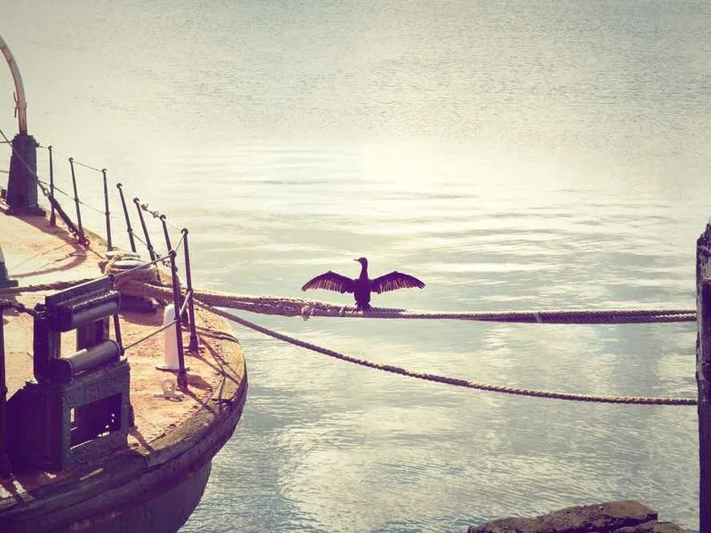 Image 0 de Donne lot divers