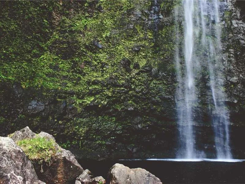 Image 0 de Bureau à vendre