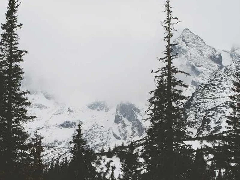 Image 0 de VTT à vendre