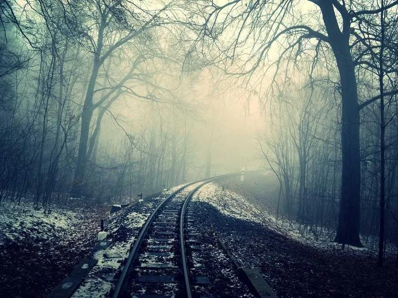 Image 0 de Donne lot divers