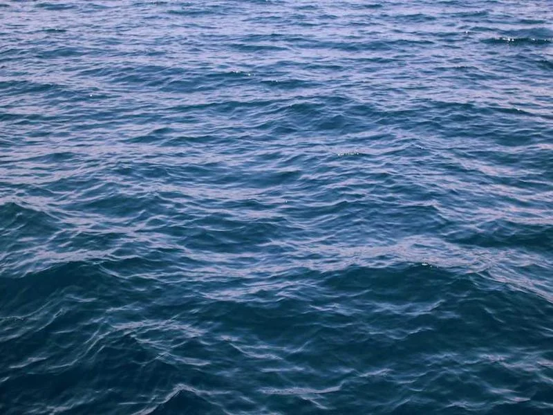 Image 0 de Console de jeux à vendre