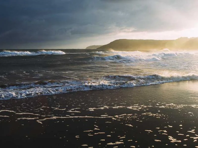 Image 0 de Objet divers à vendre