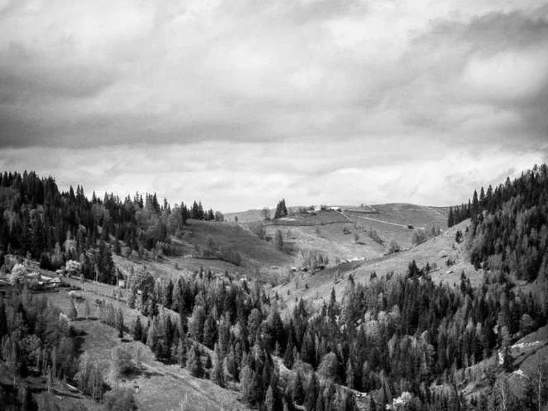 Image 0 de Donne bureau