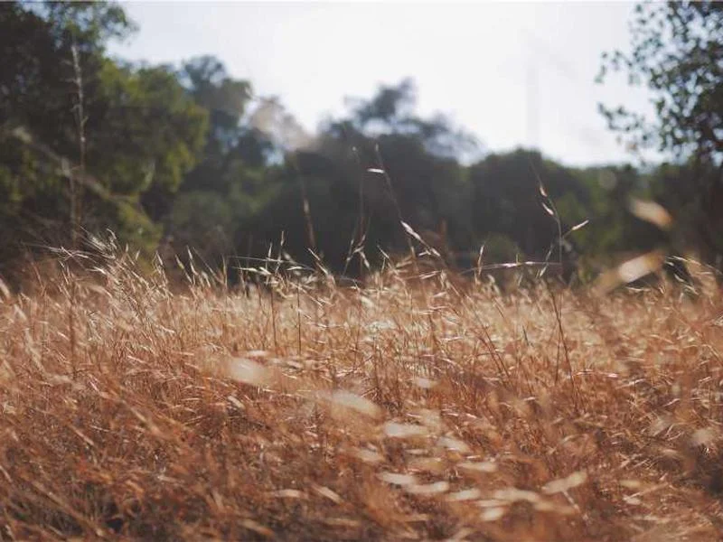 Image 0 de Objet divers à vendre