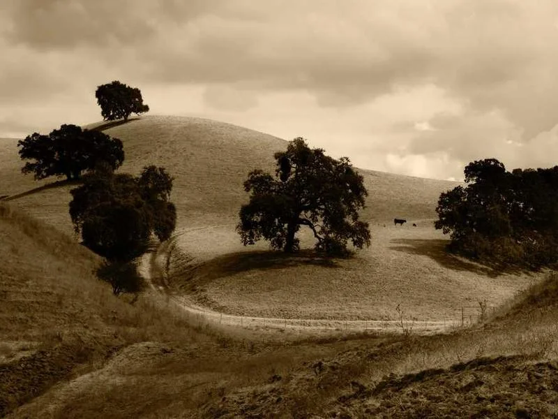 Image 0 de Recherche maison