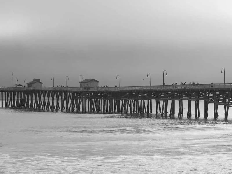 Image 0 de Scooter à vendre