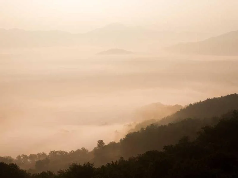 Image 0 de Donne bureau
