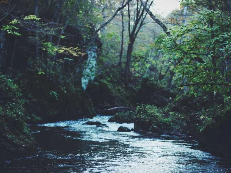 Image 0 de À vendre