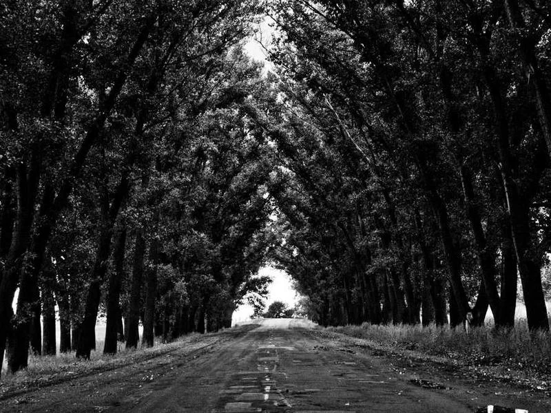 Image 0 de Console de jeux à vendre