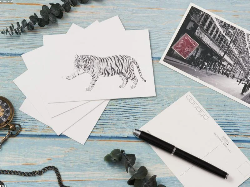 Image 0 de Programmateur