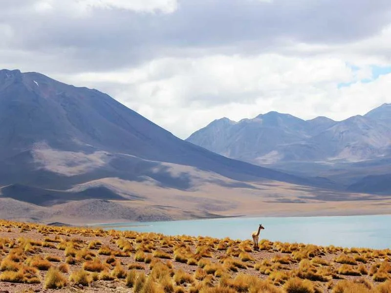 Image 0 de Objet divers à vendre