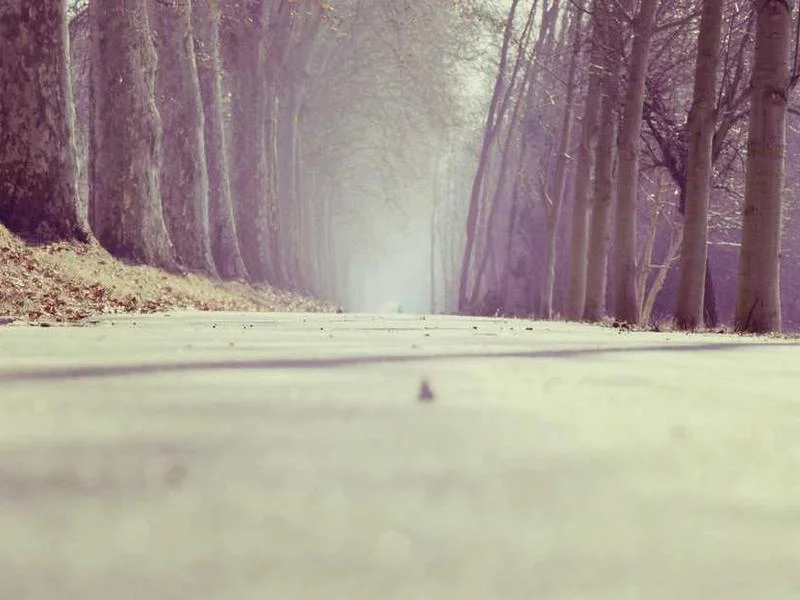 Image 0 de Objet divers à vendre