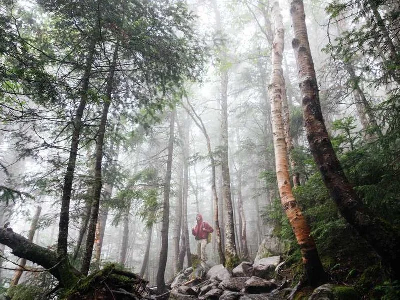 Image 0 de Donne objet divers