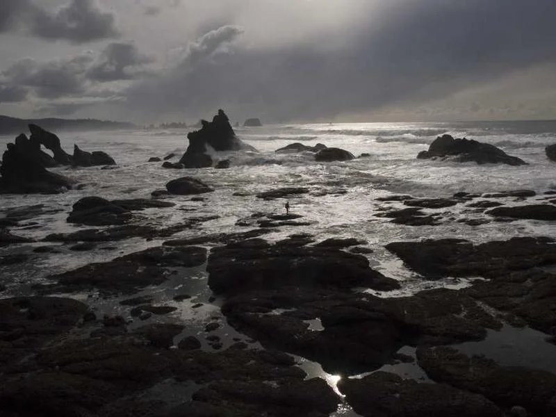 Image 0 de Recherche télévision