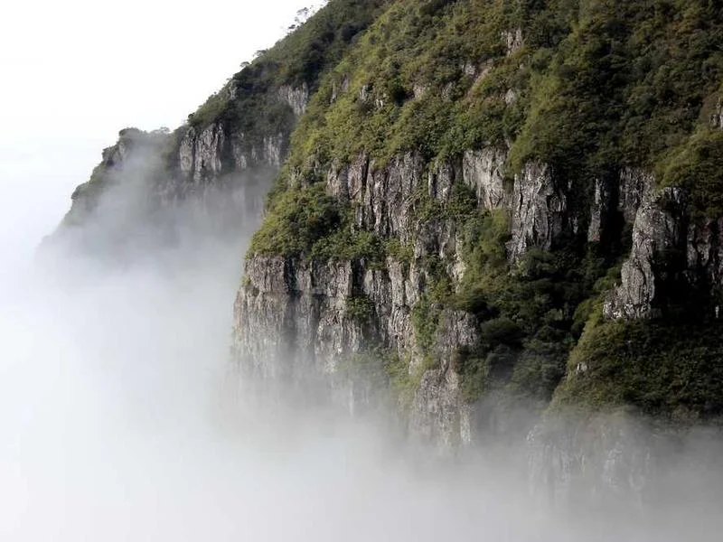 Image 0 de Téléphone à vendre