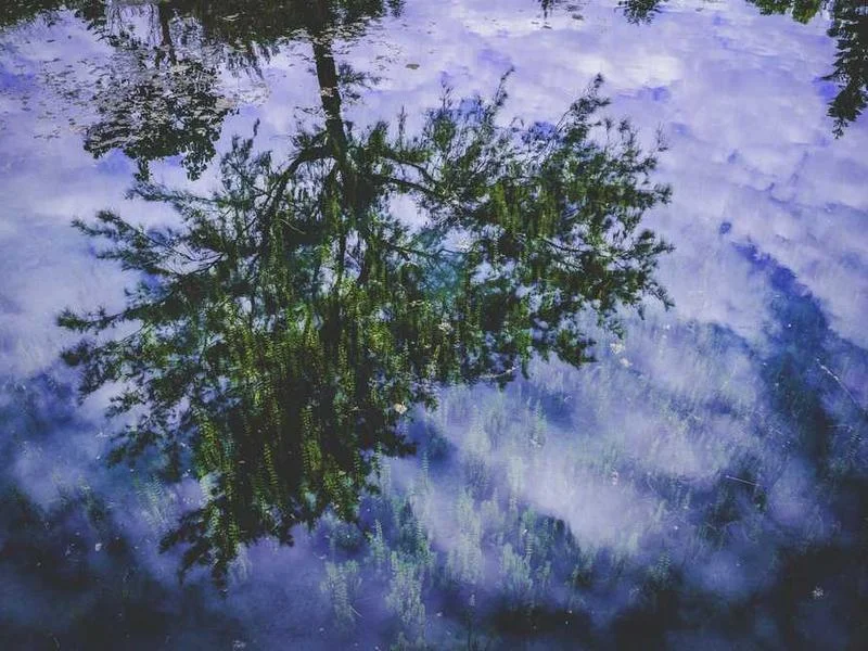 Image 0 de Recherche voiture