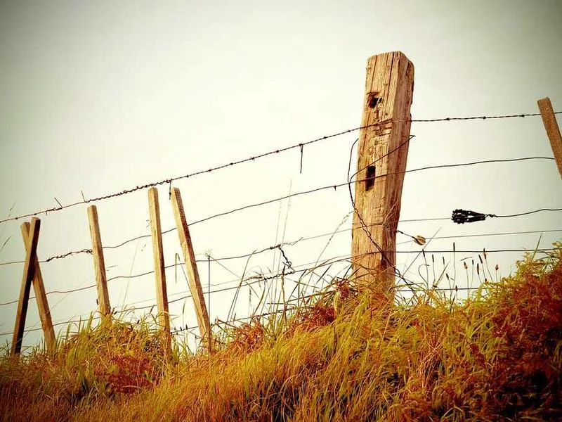 Image 0 de VTT à vendre