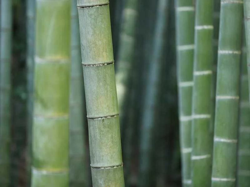 Image 0 de Recherche utilitaire