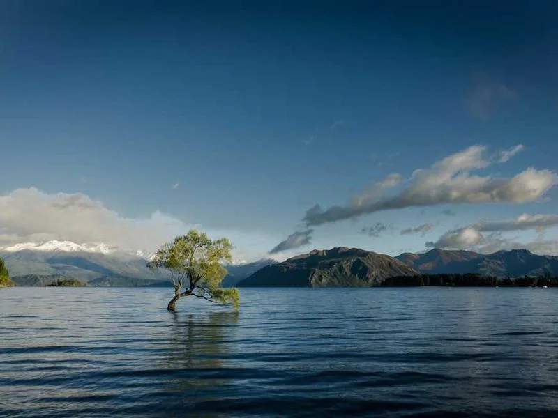 Image 0 de Recherche terrain